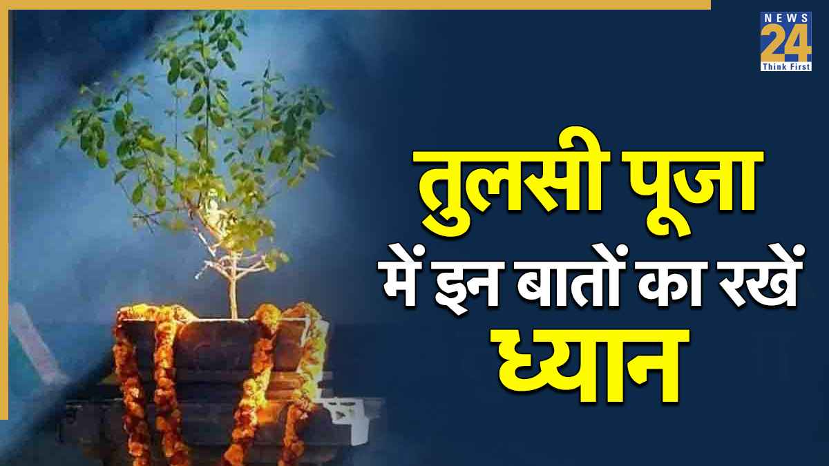 Tulsi Puja Rules: तुलसी के पौधे की पूजा में कई बातों का रखें ध्यान, पत्ते तोड़ने के लिए भी है खास नियम
