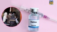 Badau Rabies Vaccine