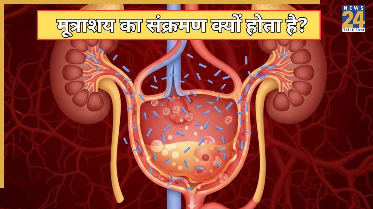 बार-बार यूटीआई क्यों होता है? डॉक्टर ने बताया ये 7 गलतियां बनती हैं UTI की वजह