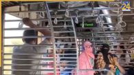 Mumbai Local
