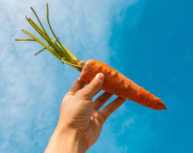 Vitamin A Ki Kami-1-2-3-4-5-6-7