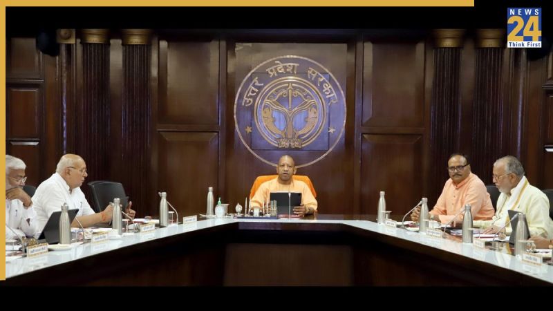 WhatsApp Image 2025-12-03 at 11.54.31