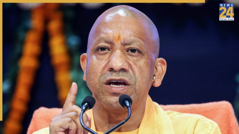 WhatsApp Image 2025-12-03 at 18.46.05