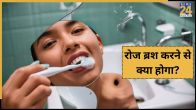 are plastic toothbrushes bad for you