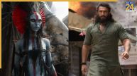 Avatar 3 and Dhurandhar Box Office Collection