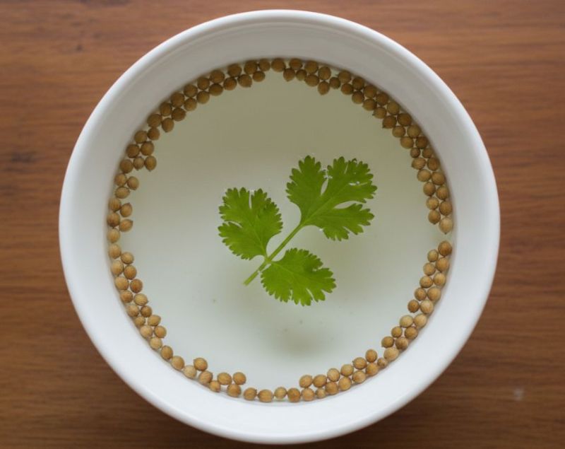 Dhaniya Ka pani Peene Ke Fayde Dhaniya Ka pani Peene Ke Fayde-1-2-3-4-5-6-7