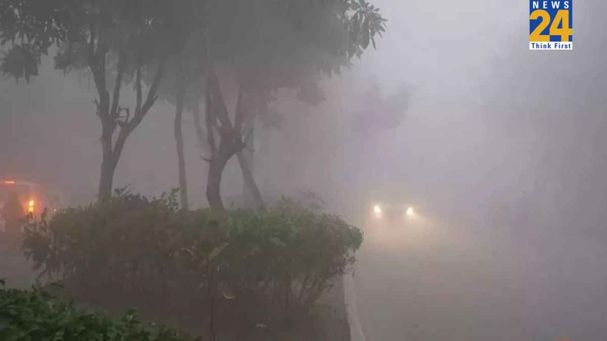 दिल्ली-NCR में छाई कोहरे की मोटी चादर, सड़कों पर थमी रफ्तार; ऑरेंज अलर्ट जारी