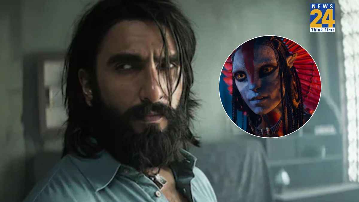 Dhurandhar Box Office Collection