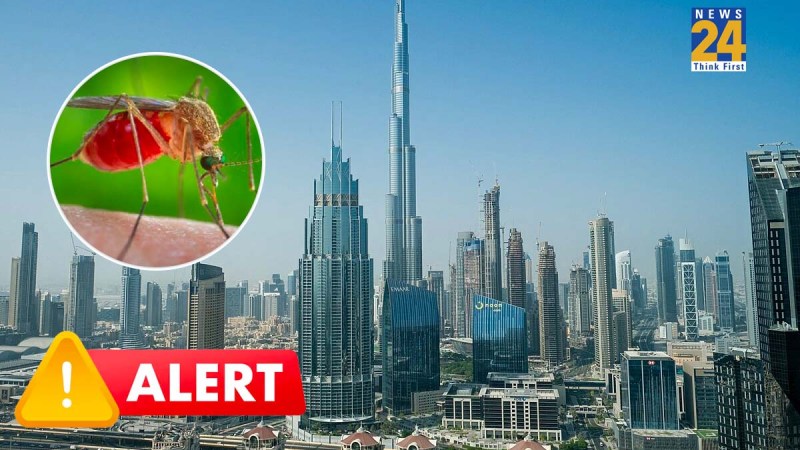 Mosquito Alert in Dubai