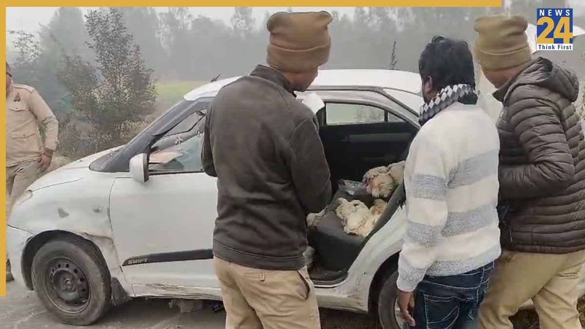 उन्नाव में चोरी का अजीबोगरीब मामला, स्विफ्ट डिजायर कार से मुर्गियां चुराने वाला कानपुर रोड पर पकड़ा