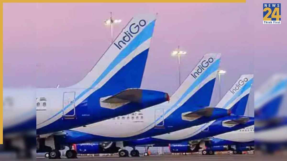 indigo_2df7e6
