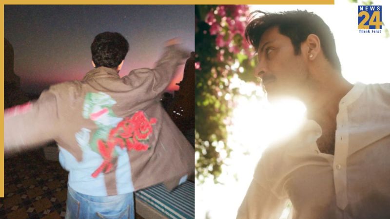 rohit saraf ali fazal bollywood stars debut in south film