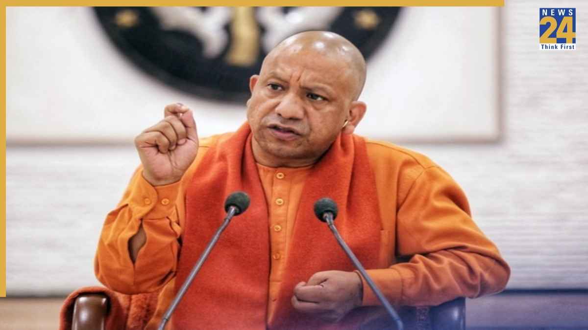 yogi