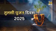 Tulsi Pujan Diwas 2025