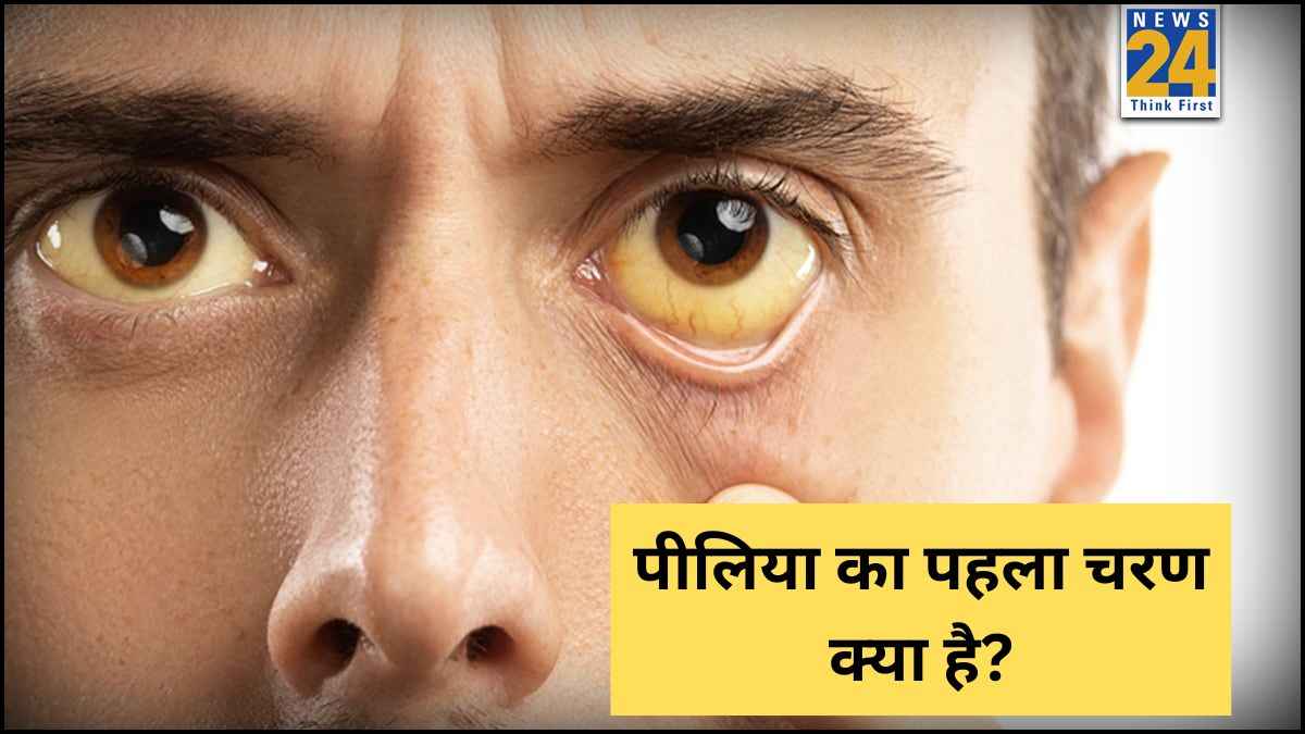 pelia kaha dikhai deta hai