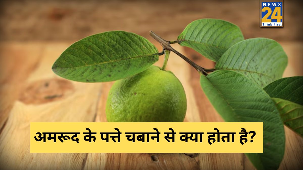 Khali pet Amrood Ki Patti Khana-1