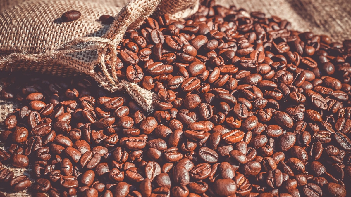 Most Expensive Coffee In The World-1-2-3-4-5-6-7-8