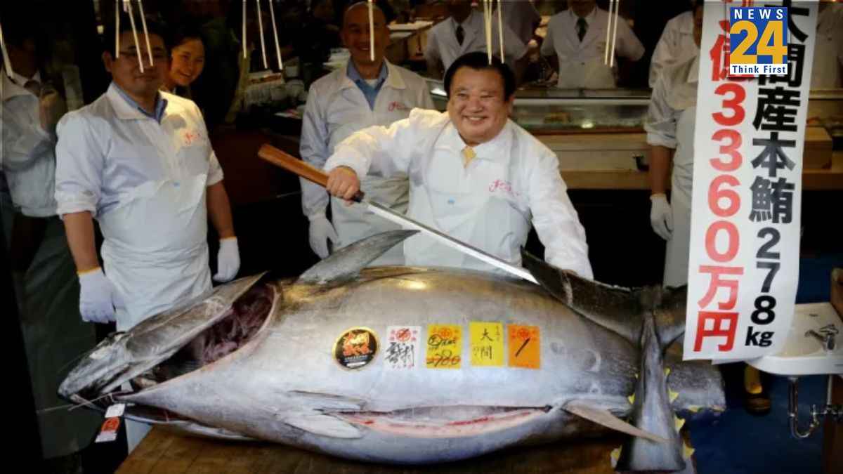 Bluefin Tuna