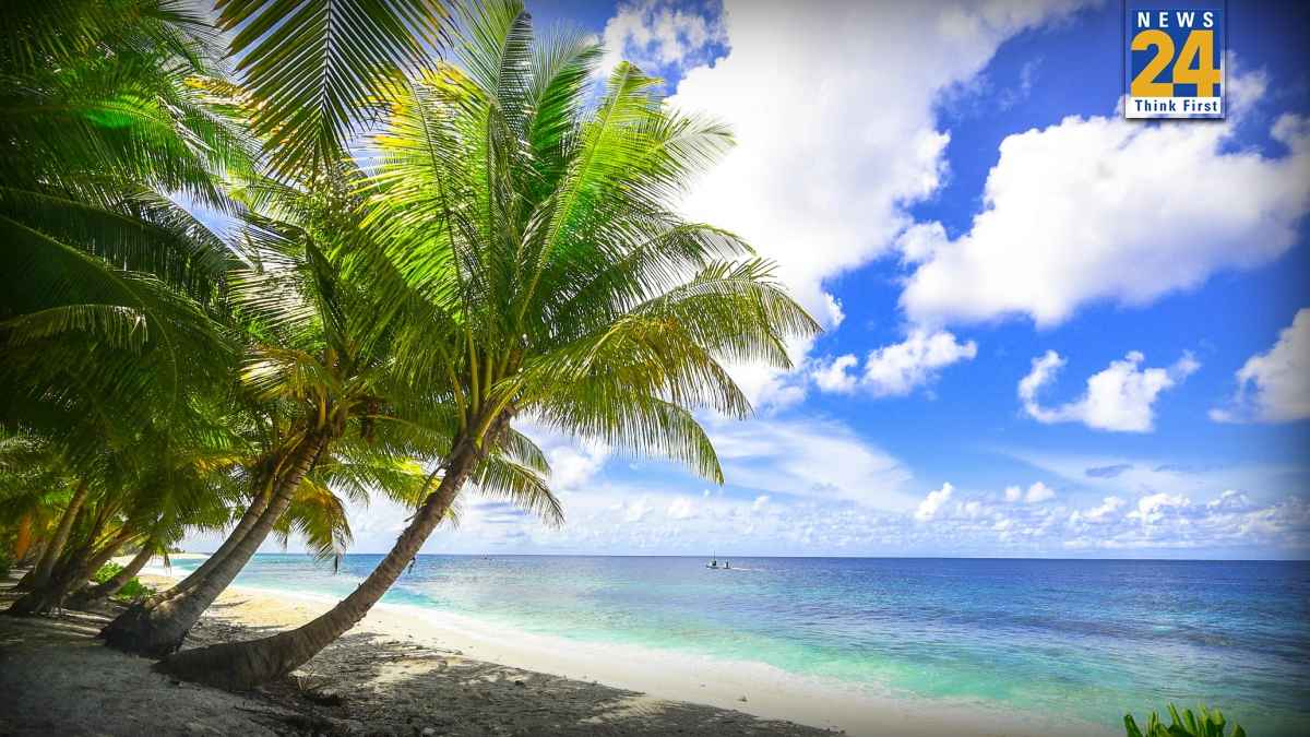 Coconut Island India