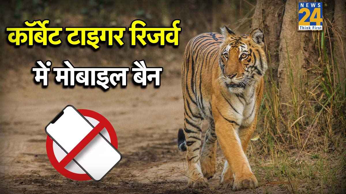 जिम कॉर्बेट में सफारी के दौरान मोबाइल बैन क्यों? नियम के उल्लंघन पर पर्यटक संग ड्राइवर भी नपेंगे
