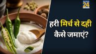 Does Putting Green Chili In Milk Make Curd