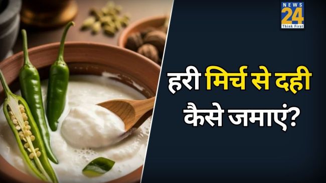 Does Putting Green Chili In Milk Make Curd