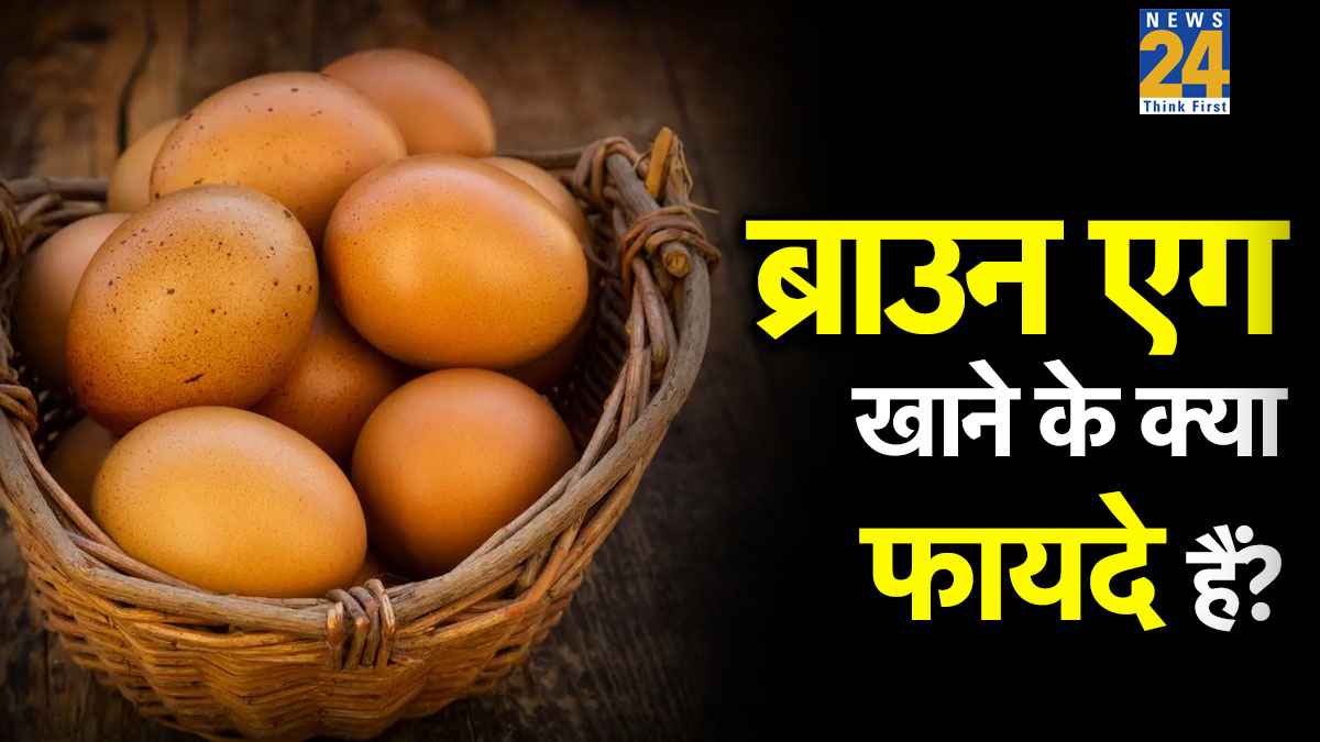 ब्राउन अंडा किस मुर्गी का होता है? डॉक्टर ने बताया सर्दियों में सफेद से ज्यादा ब्राउन खाने से मिलते हैं अद्भुत फायदे