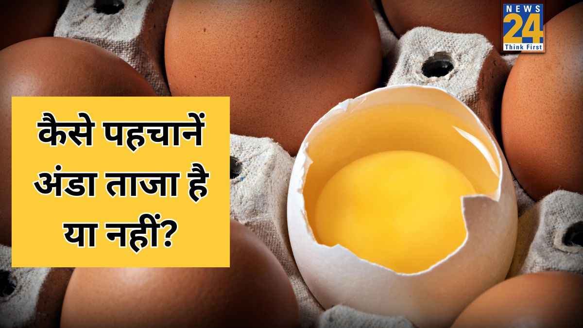 अंडा अच्छा है या नहीं कैसे चेक करें? न्यूट्रिशनिस्ट ने बताया इस एक ट्रिक से पता चलेगी अंडे की गुणवत्ता