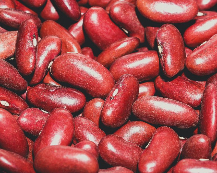 Fiber Rich Foods-1-2