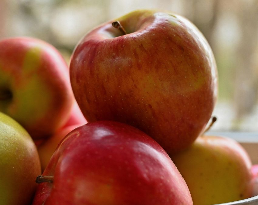 Fiber Rich Foods-1-2-3-4