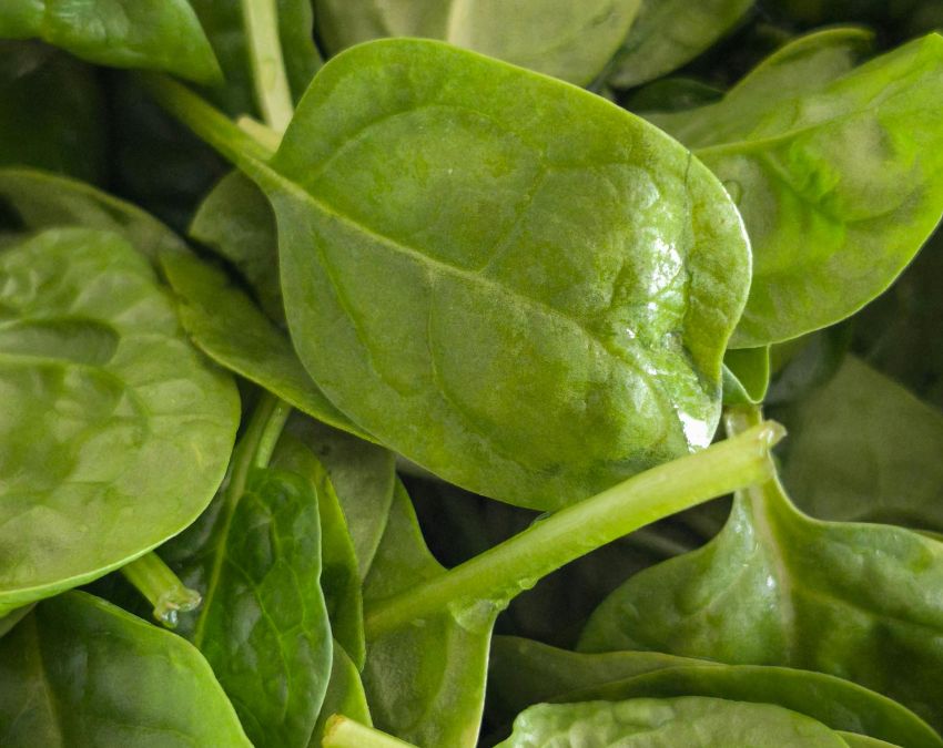 Fiber Rich Foods-1-2-3-4-5