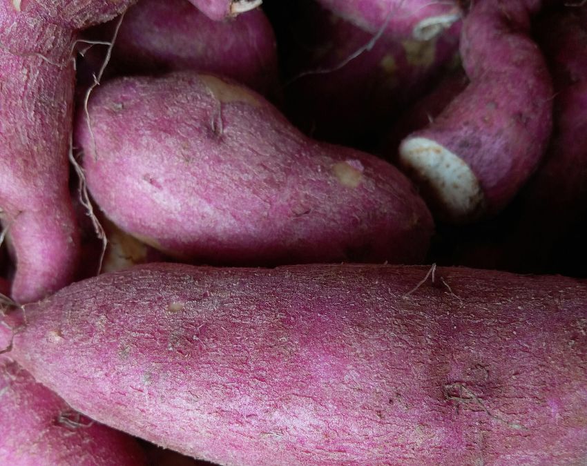 Fiber Rich Foods-1-2-3-4-5-6-7