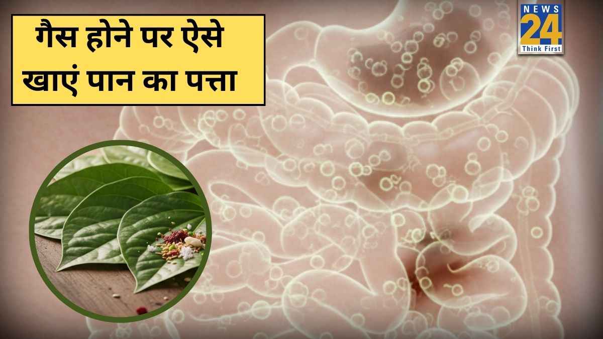 पान के पत्ते को ऐसे खाने पर निकल जाएगी पेट में दबी हुई गैस, यहां जानिए पेट फूलने को कैसे कम करें