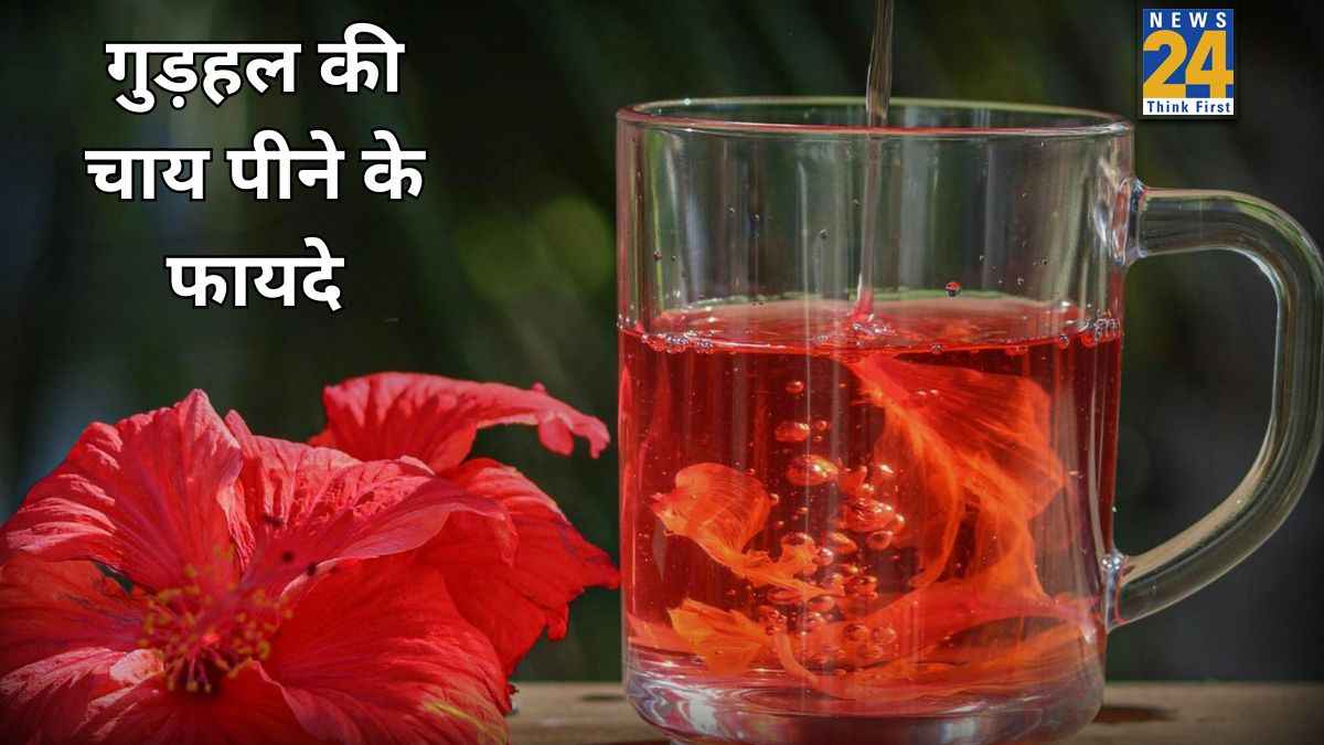 गुड़हल की चाय पीने पर शरीर को क्या फायदे मिलते है? जानिए Hibiscus Tea पीने पर क्या होता है