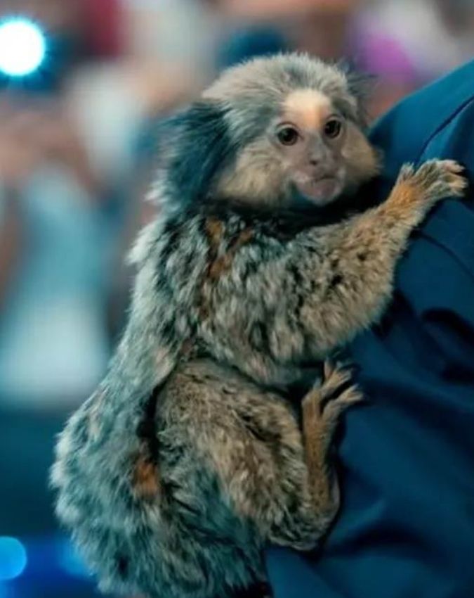 Netflix Top Trending Series-1-2