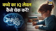 Iq Level Kya Hota Ha