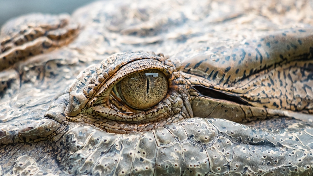 Most Dangerous River India-1-2-3-4-5