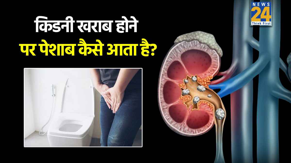 कभी नहीं होगी किडनी की बीमारी, स्वर विज्ञान के मुताबिक पेशाब करते वक्त करें ये 1 काम