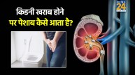 Kidney Disease and Swar Vijyan Home Remedies 