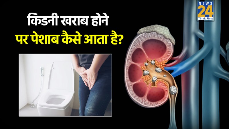 Kidney Disease and Swar Vijyan Home Remedies┬а Kidney Disease and Swar Vijyan Home Remedies┬а