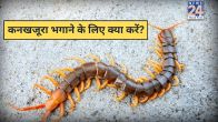 Kankhajura Kaise Bhagaye In hindi