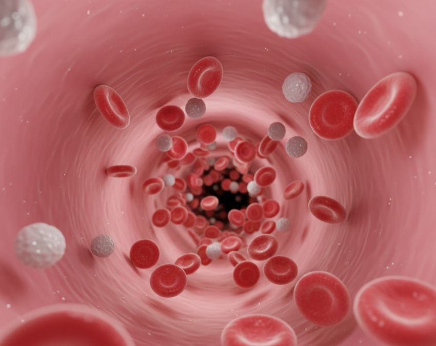 Kidney Cancer Ke Lakshan-1-2-3-4-5-6