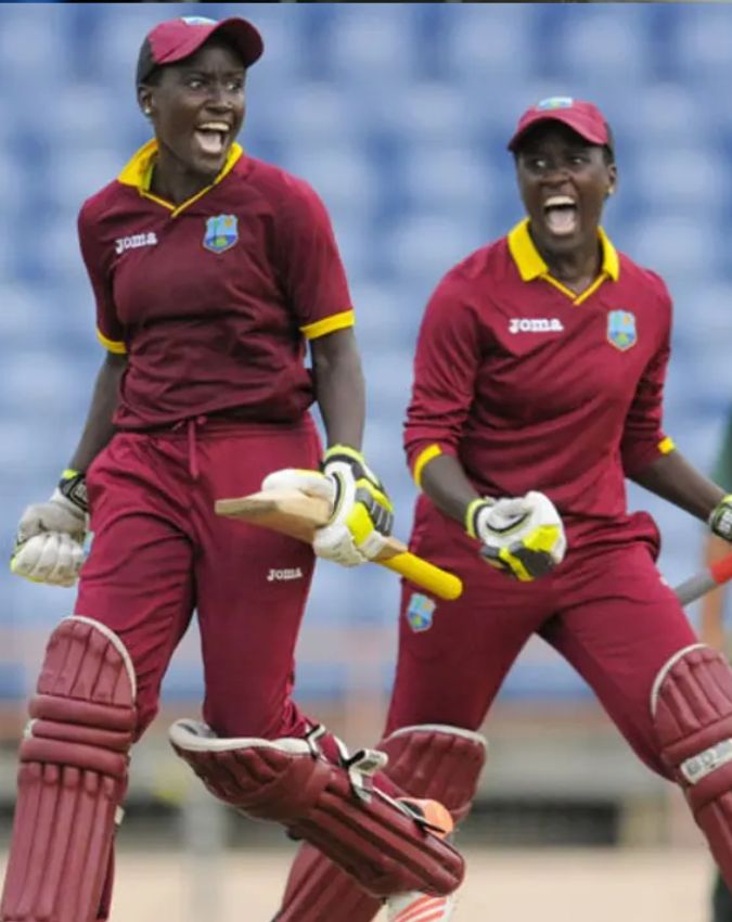 Twins Brothers Cricket -1-2-3-4-5