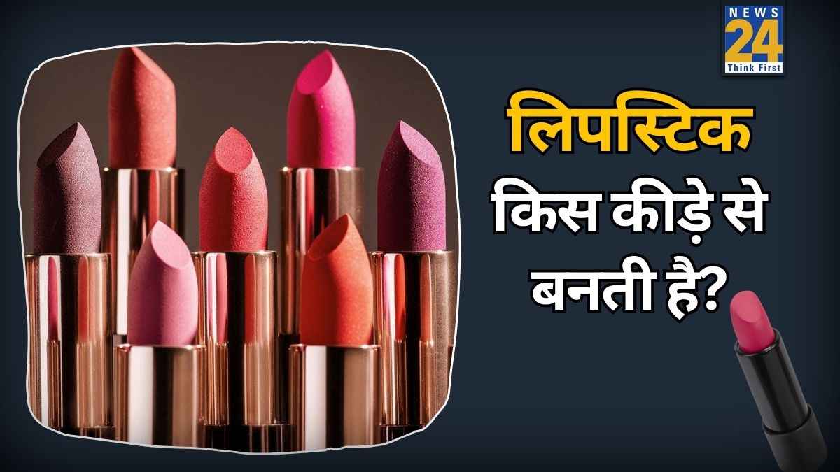 लिपस्टिक वेज है या नॉनवेज? यहां जानिए लिपस्टिक में कौन सा कीड़ा मिलाया जाता है