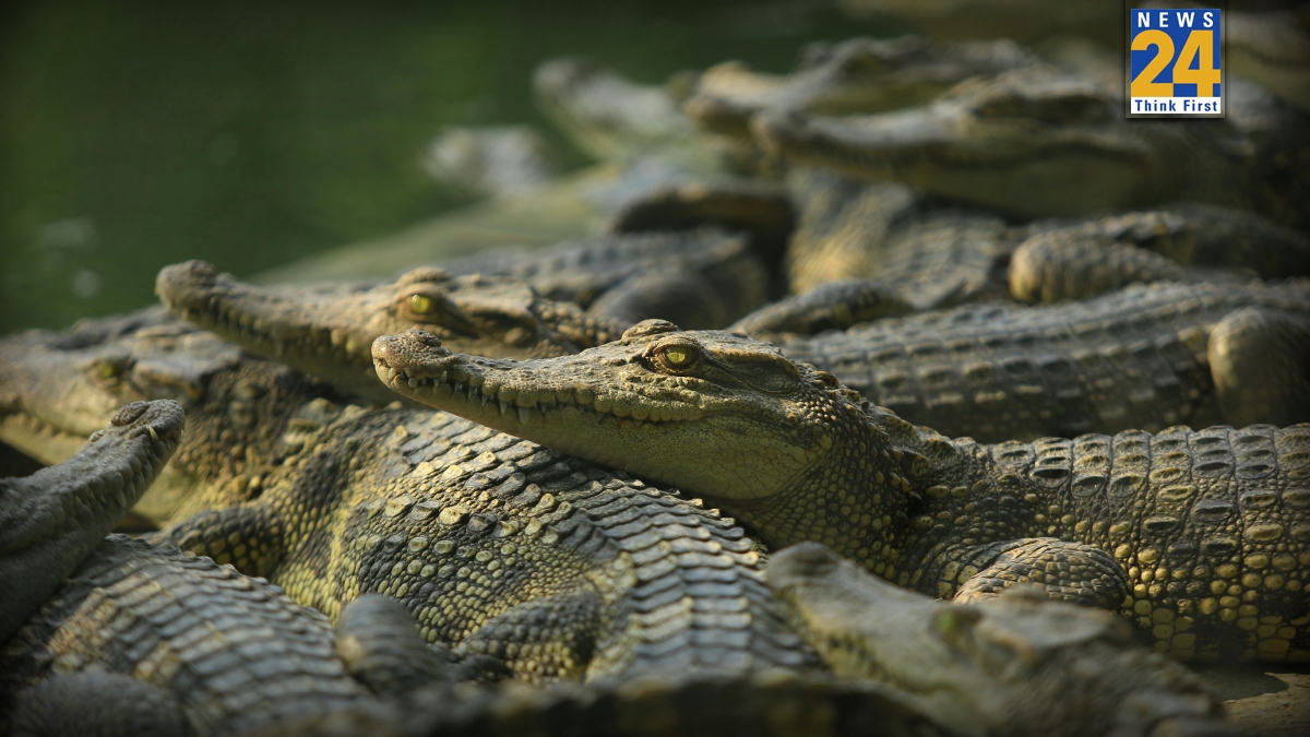 Most Dangerous River India-1