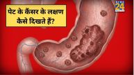 Pet Ke Cancer Ke Lakshan