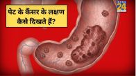 Pet Ke Cancer Ke Lakshan