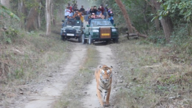 Chuka Beach Pilibhit-1-2-3-4