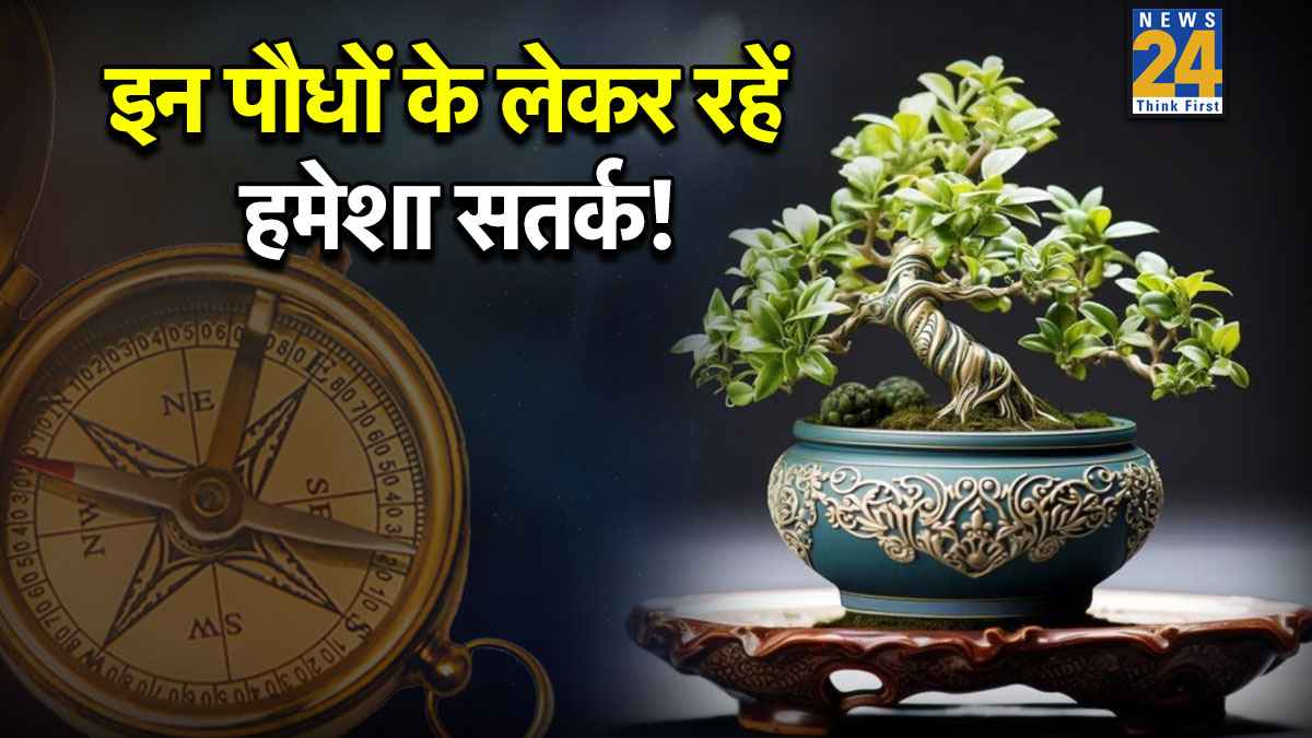 Plant-Vastu-Tips