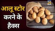 Aloo Storing Tips